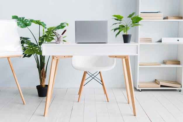 Vastu Plants for Office: Which Plants Should You Keep?