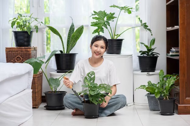 Vastu tips for flats in thane | Lucky plants for home to invite wealth and good luck 